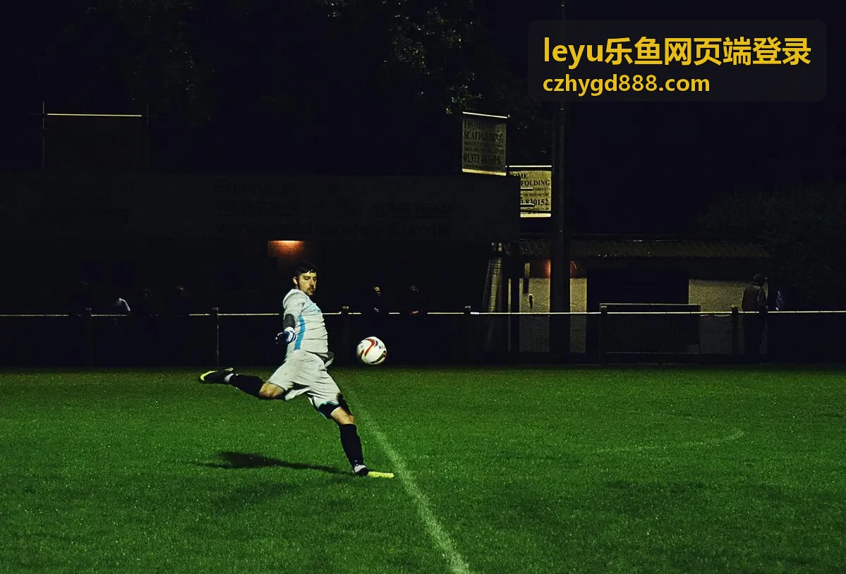 leyu乐鱼网页端登录第六步：登录成功后查看最近登录记录